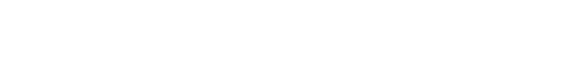VGS Chip Tuning logo