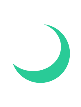Websight1 logo
